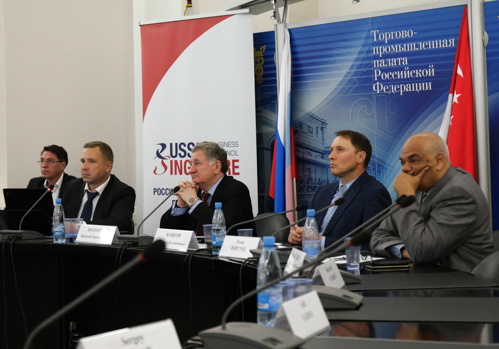 Nikolay Volobuev Held a Meeting of the Russia-Singapore Business Council