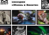 «Швабе» объявил победителей конкурса фотографии «Жизнь в Зените II»