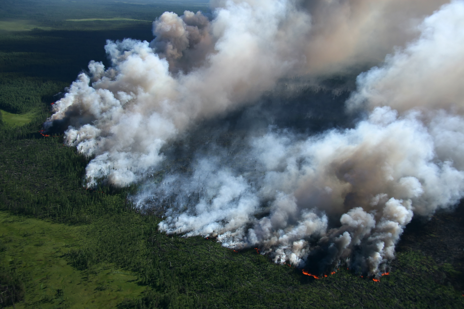 Беспилотники ZALA AERO помогают бороться с пожарами в лесах Приморья