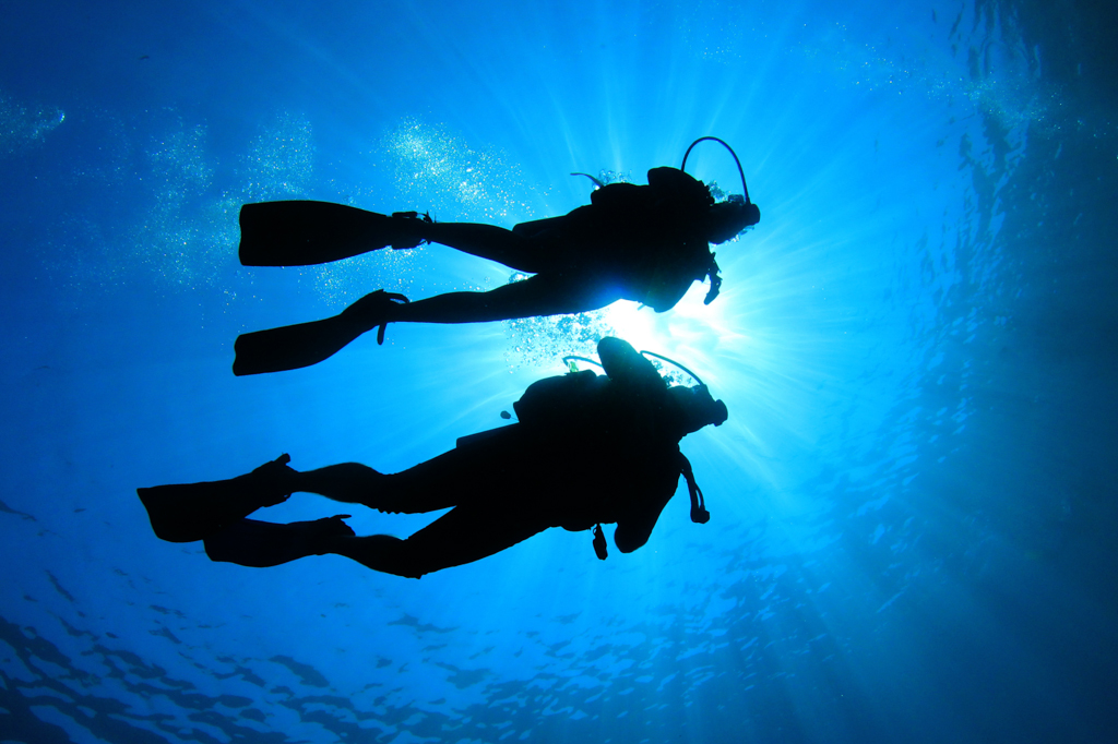 Like a Duck to Water: Diving Equipment