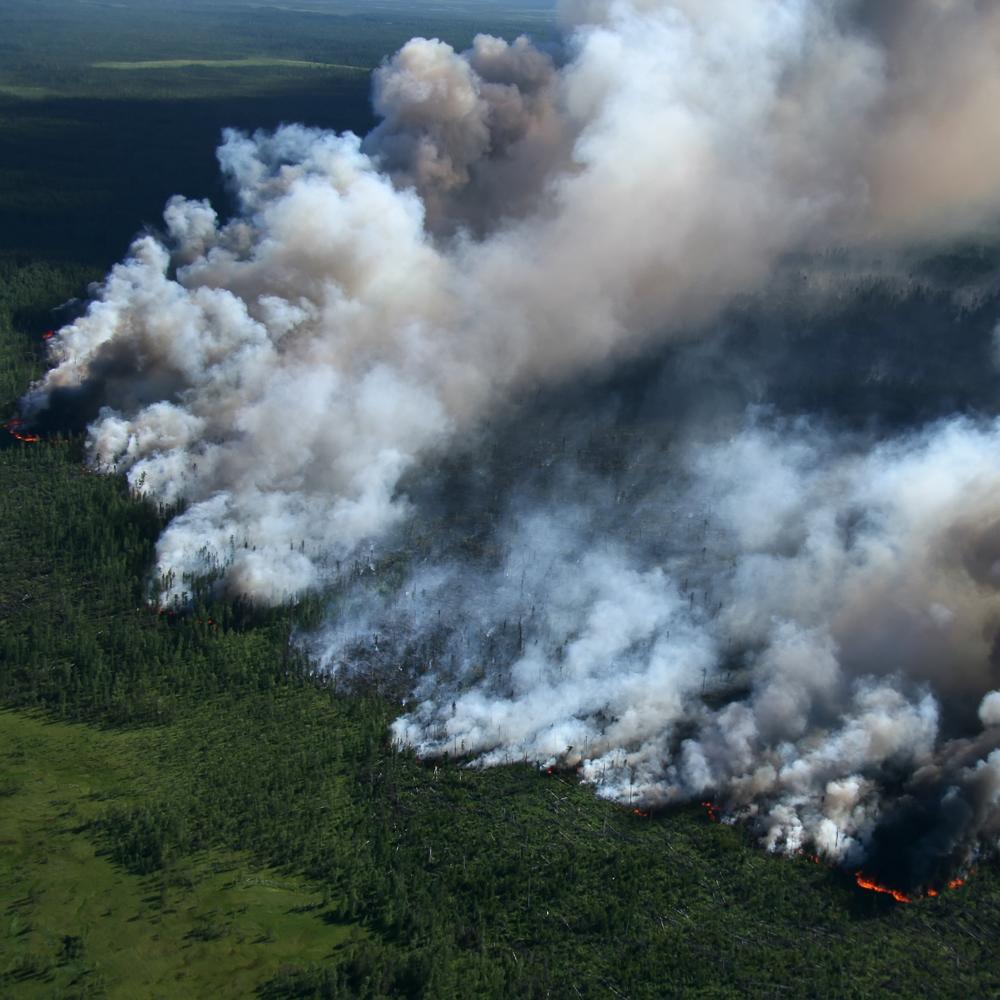 Беспилотники ZALA AERO помогают бороться с пожарами в лесах Приморья