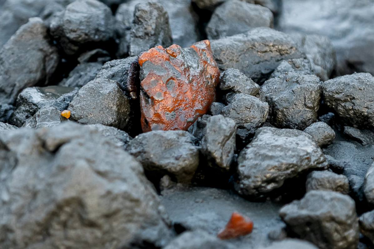 Ростех планирует добыть рекордные 600 тонн янтаря на месторождении в Калининградской области