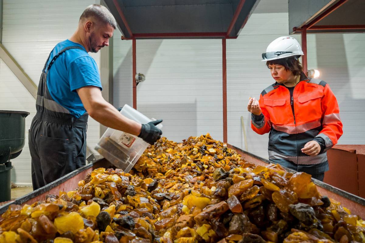 Калининградский янтарный комбинат добыл в Приморском карьере 600 тонн янтаря