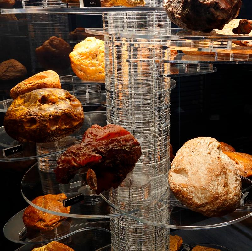 На AmberForum 2024 воссоздадут 3D-модель янтарной чаши «Наутилус» 