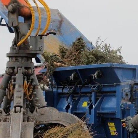 «РТ-Инвест» подвел итоги акции по переработке новогодних елок 
