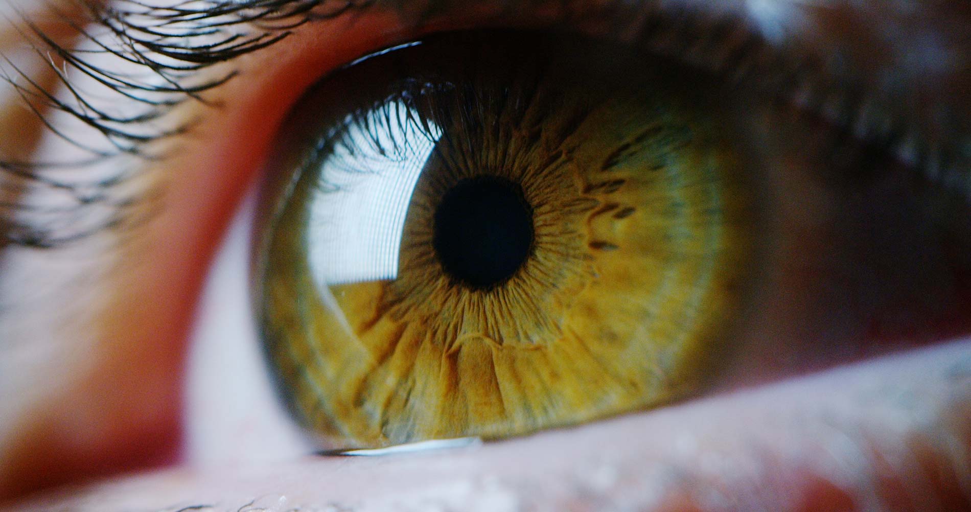Глаз радуется: о разработках Ростеха в офтальмологии