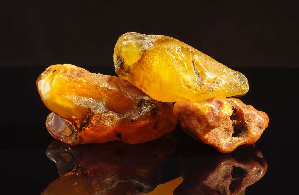 First Amber Nuggets Extracted by the Amber Factory This Year