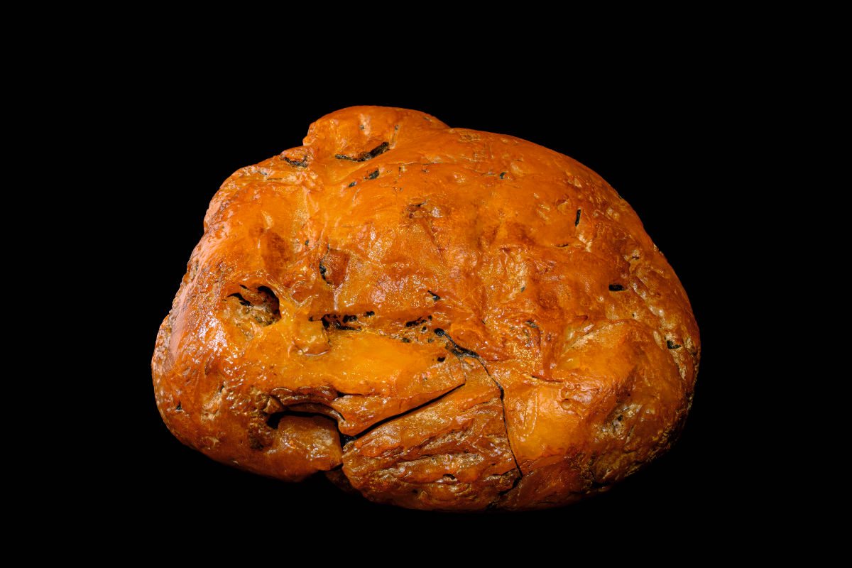 Самым дорогим камнем на аукционе Янтарного комбината стал самородок «Победитель» 