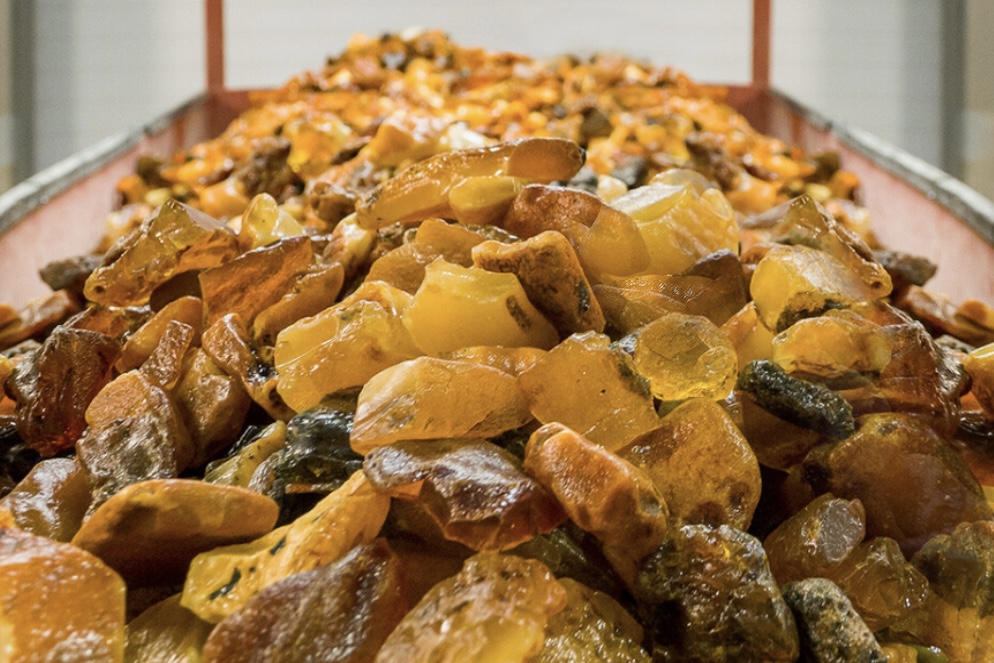 Калининградский янтарный комбинат организовал седьмой в этом году аукцион янтаря