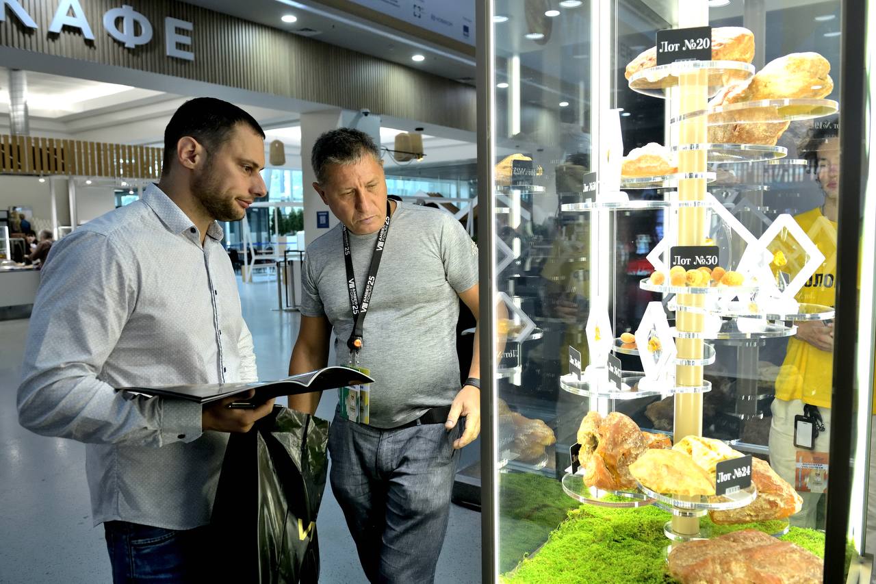 На аукционе уникального янтаря в Москве проданы все инклюзы и редкий каплевидный камень