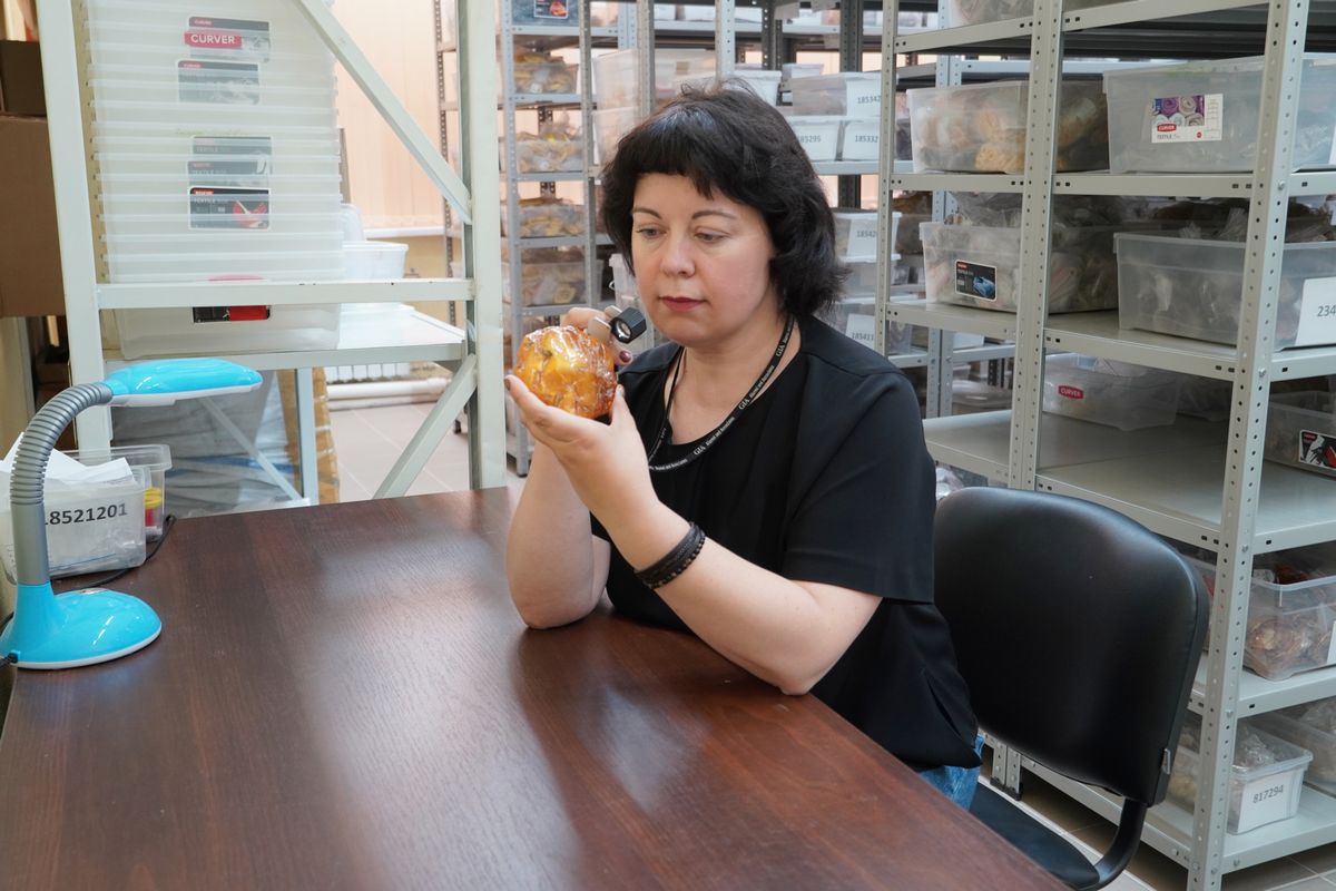 Что общего у янтаря и жесткого диска