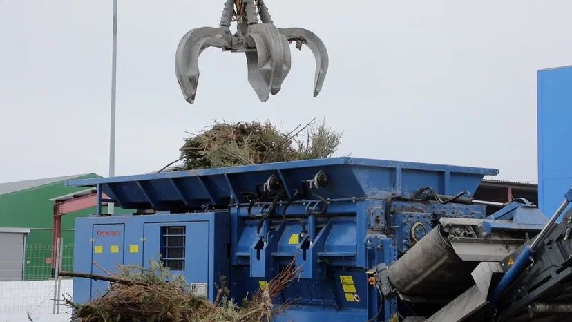 Региональные операторы «РТ-Инвест» начали сбор новогодних елок для переработки