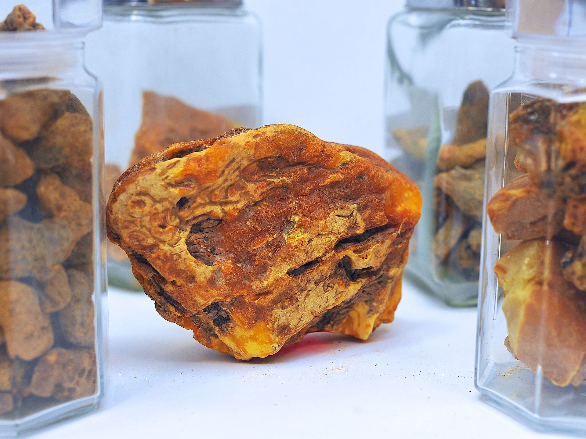 Amber Plant has Built a Unique Collection of Amber