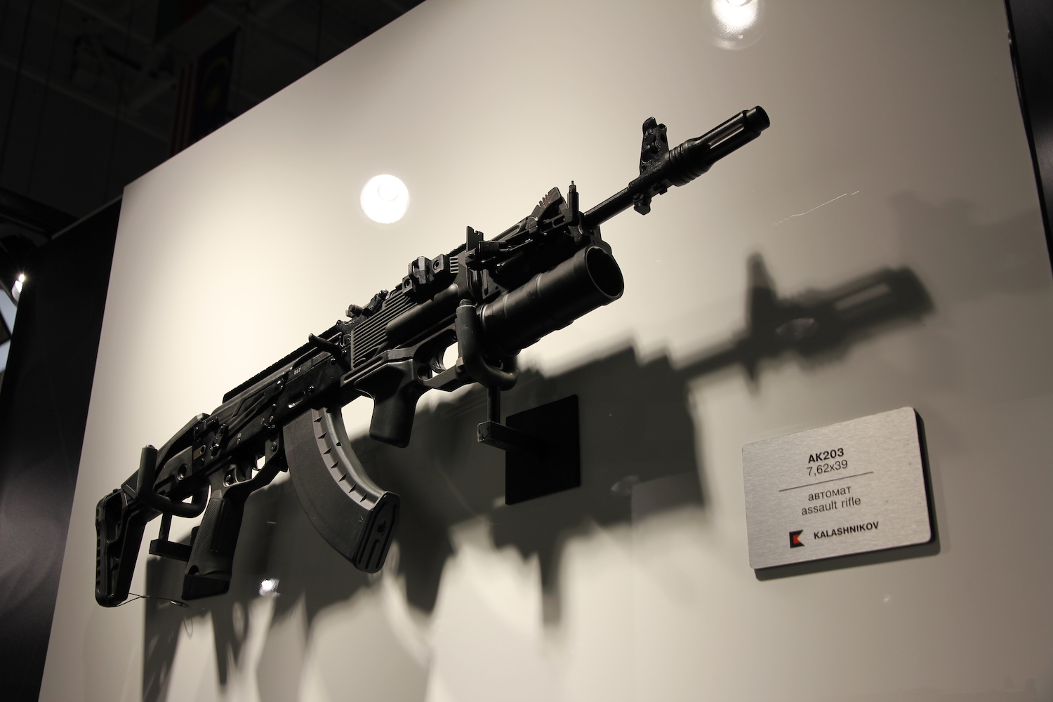 Rosoboronexport to Discuss Production and Sale of AK-203 Assault Rifles at Defexpo India 2022