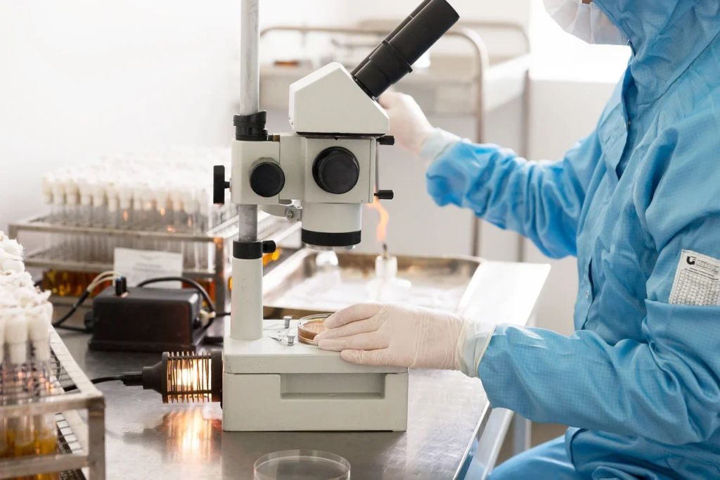 photo_2024-11-20_12-59-42.jpg photo_2024-11-20_12-59-42.jpg