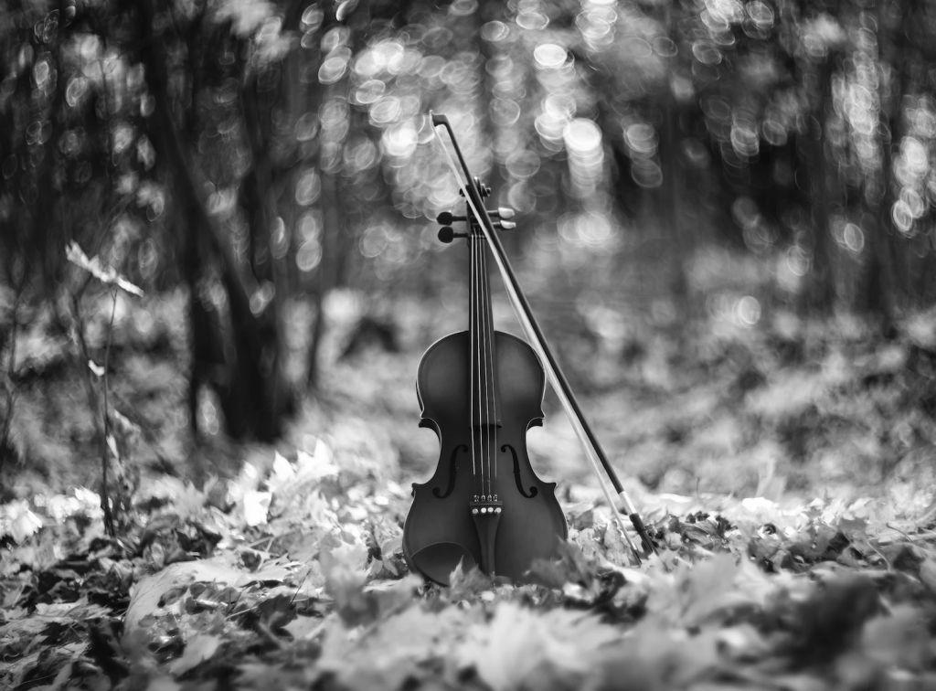 203y5rpxml996puj0c0tfs90egu8hy3u.jpeg 203y5rpxml996puj0c0tfs90egu8hy3u.jpeg