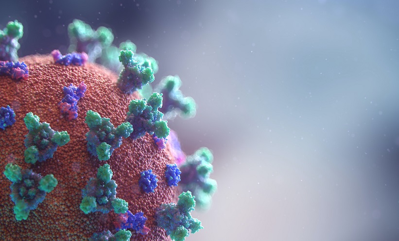 Hepatitis B virus cell.jpg