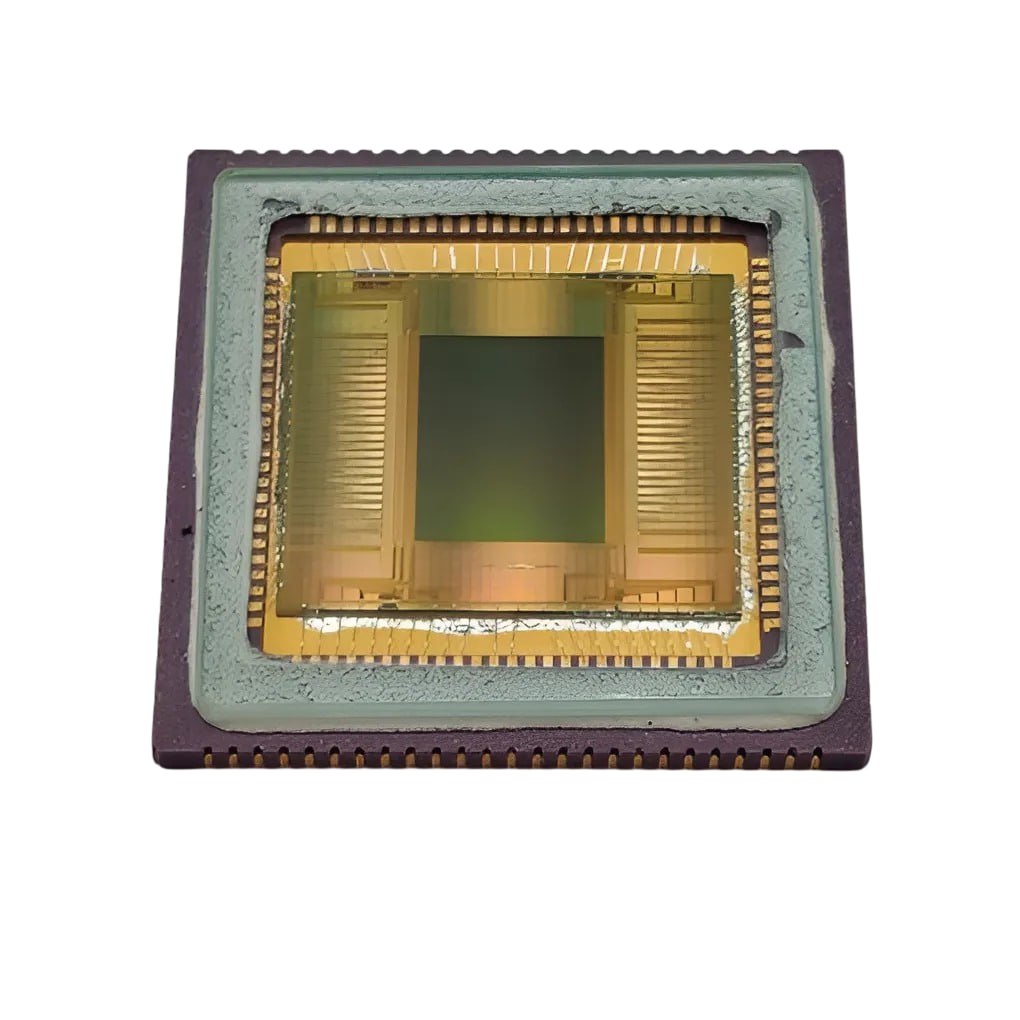 photo_2026-03-10 11.53.37.jpeg