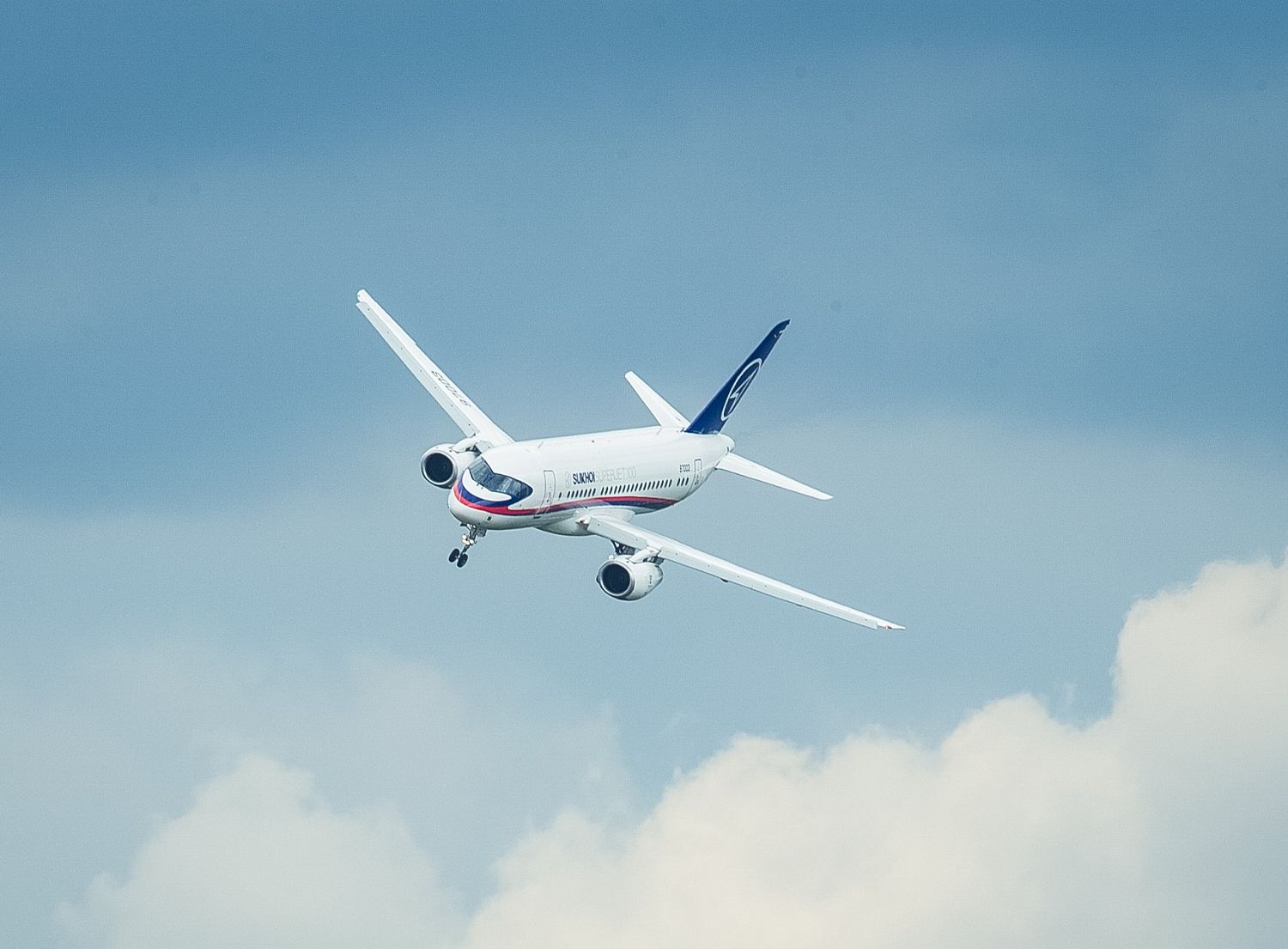 Ростех разработал систему защиты пассажирских самолетов от птиц 