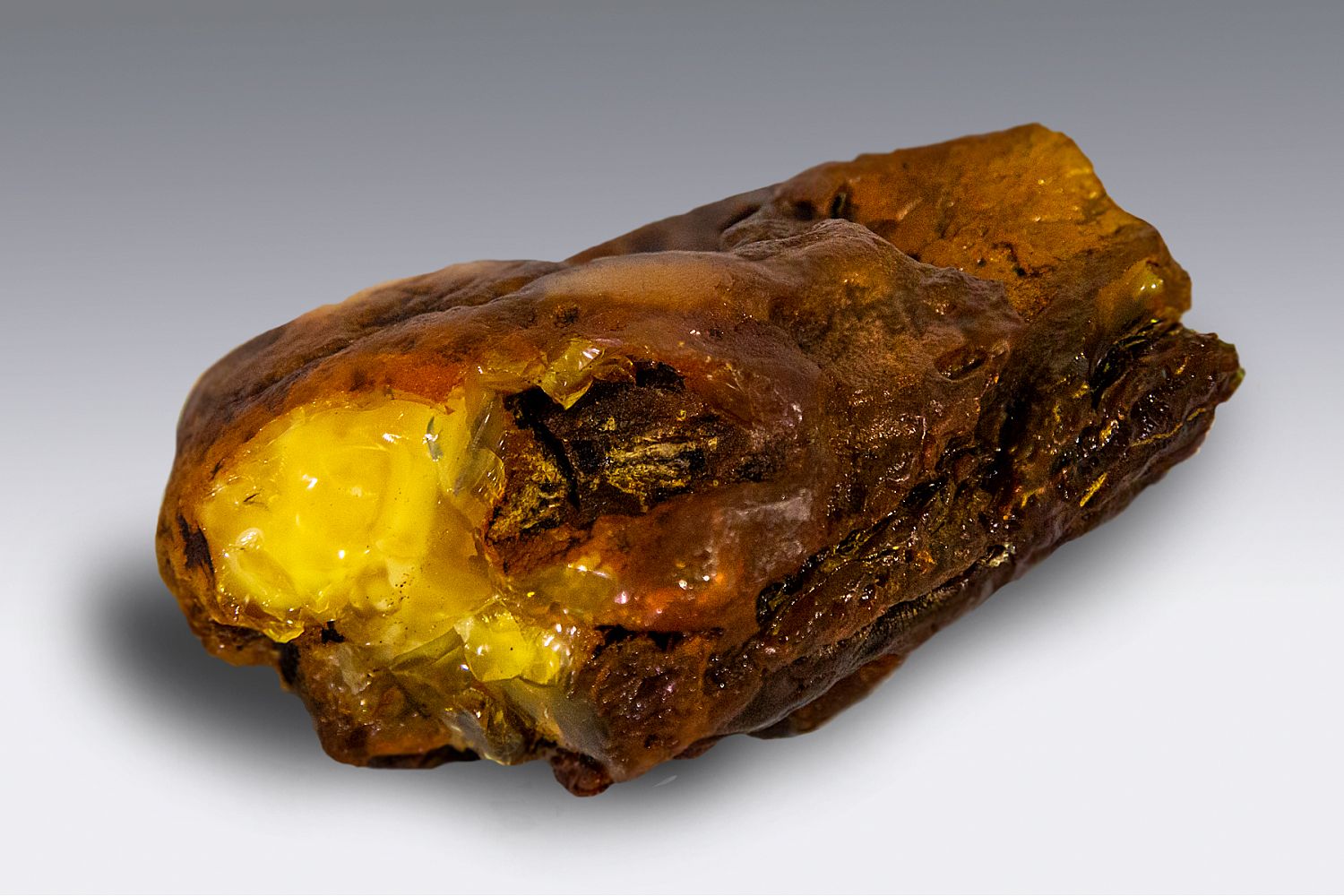 На Янтарном комбинате добыли «Рождественский» самородок