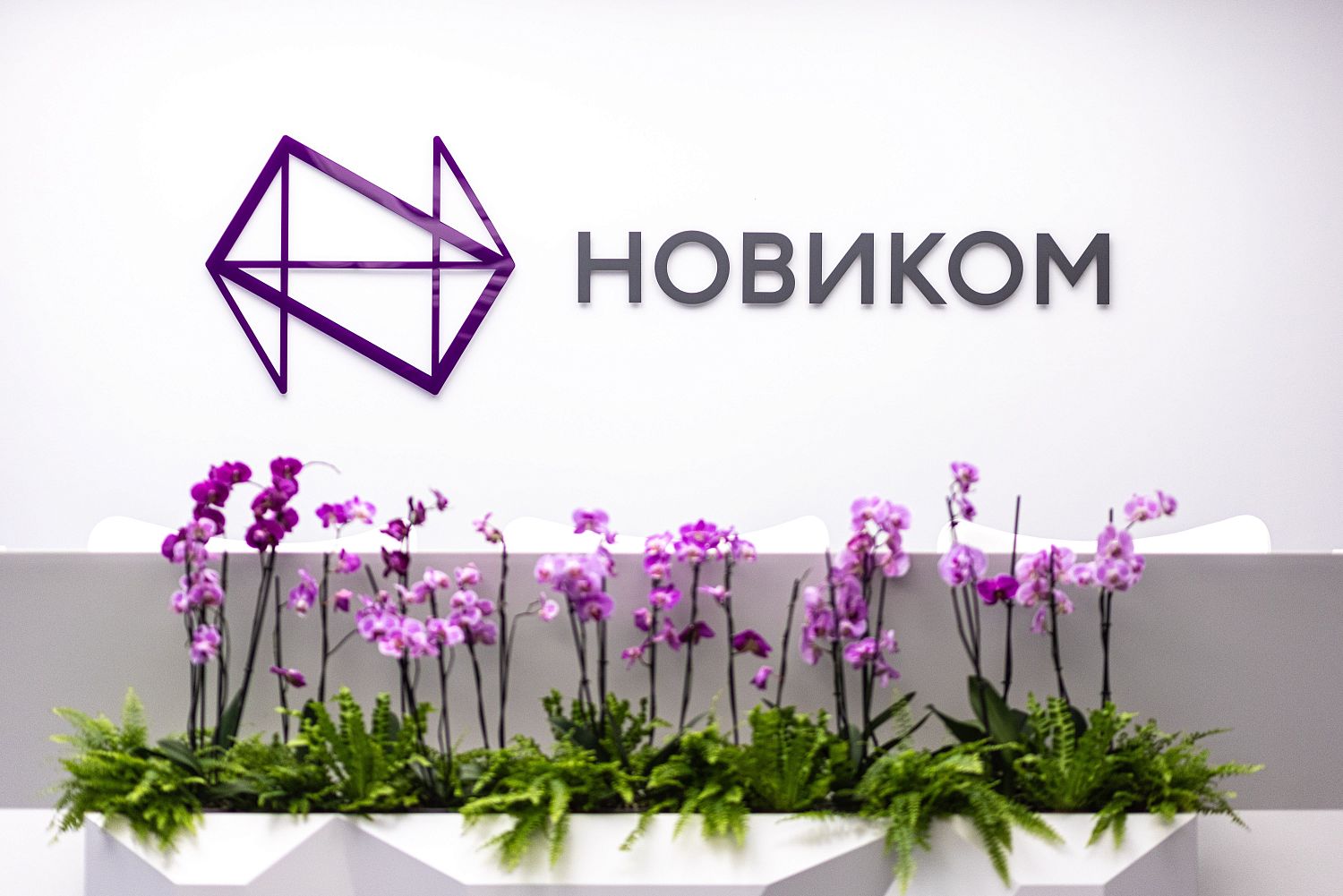 НОВИКОМ обновил категории повышенного кешбэка